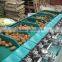 Melon Grading Machine Sorter Grader