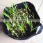 Direct Manufacturer Hydroponics 2 Gallon Fabric Pot