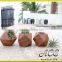 Teak Wood Planters