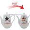 Custom Printed Bulk China Tea Cup and Saucer