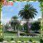 High Quality Outdoor Decoration Artificial Date Plam Tree