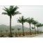 artificial coconut tree