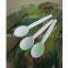 CPLA Cutlery/Biodegradable Dinnerware