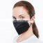 Custom-fit Design PM 2.5 Air Pollution Mask for Indoor or Outdoor Use