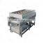Brush Roller Spray Vegetable Fruit Washing Machine