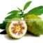 Healthy and wealthy Noni powder exporters