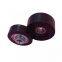 NTN 6203HT200ZZ Single Row Ball Bearings