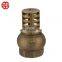 Dual Plate Duckbill Flap Vertical Dn100 Pn16 Natural Gas 8 Inch Flapper Type Swing Check Valve