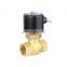 Normal Closed Or Normal Open 2/2 Way High Temperature Steam Solenoid Valve For Hot Water