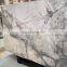 Autumn snow white marble big slabs