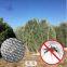 Agriculture Protection Anti Insect mesh net for greenhouse and garden