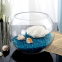 Ecological Turtle Cylinder Aquarium Glass Fish Tank Vase Air Plants Sand and Pebbles Small Glass Terrariums For Plants