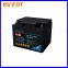 French Rvzot Lusheng Battery 12LPA40 12V40AH Battery AGM Absorbent Battery LPA Series