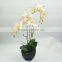 Indoor decor artificial latex flowers orchids with wholesale price