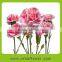 Pink color warmly carnation flowers to dear mother