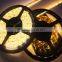 2.4W 3528 LED Flxible Strip Light with CE ROHS