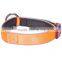 Dog Design Germany Dog Collar And Leash