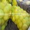 Mesh bags for onions patatoes apples