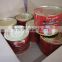 1000g Canned tomato paste ,hot sell with high quality