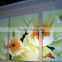 China glossy Eco-solvent Art Wall Paper for baby room decorations