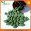 GMP Certificate Weight loss Halal L-carnitine Capsules green tea Slimming soft capule in bulk 350mg