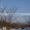 High Efficient 10kW Wind Turbine Generator for Rural Electricity Solution/windkraftanlage/windrad/windmill/eolico