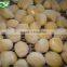 Supply IQF Frozen Potato Ball with best price