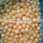 Supply IQF frozen melon ball with good quality for sale                        
                                                Quality Choice