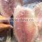 frozen tilapia fillet