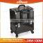 Sunrise Popular Design Promotion Peofessional Odm Pvc Makeup Case