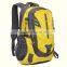 delicate sport mens bookbags