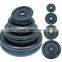 Black painted cast iron weight plate DY-WP-011