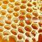 Best Price of Raw Material Propolis From China