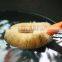 Hot selling natural fibre kitchen utensil cleaning brush/non-stick pot dish bowl brush