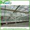 Commercial Glass Greenhouse
