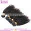 Malaysian afro kinky curly virgin hair hot sells malaysian high quality malaysian curly hair