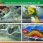 Amusement Park Product of Animal Type Mini Roller Coaster Rides for Sale