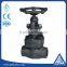 forged steel socket welded globe valve with competitive price