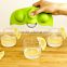 2016 new products fancy frozen green peas silicone ice cube trays made in China