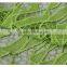 Chemical lace african green water soluble cord lace fabrics