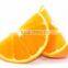 ISO Certification new Crop / Fresh Oranges