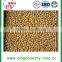 New stock blanched peanut kernels with high quality ready for export