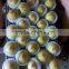 large quantity fresh green qinguan apple from China