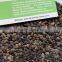 Sale Passionforaedulis seeds Passionfruit seeds fruit tree seeds for planting