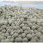 VIETNAM HIGH QUALITY WHITE PEPPER
