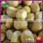 2015 New Bulk Organic Frozen Peeled Roasted Chestnut Food