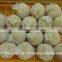 Frozen Ginger Puree - High Quality From Vietnam