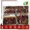 Chinese Sweet Paprika
