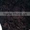 High efficiency energy biomass carbonization gasification plant