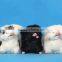 Christmas Ornaments Motorized Realistic and Lifelike Plush Cute Pig Toy
